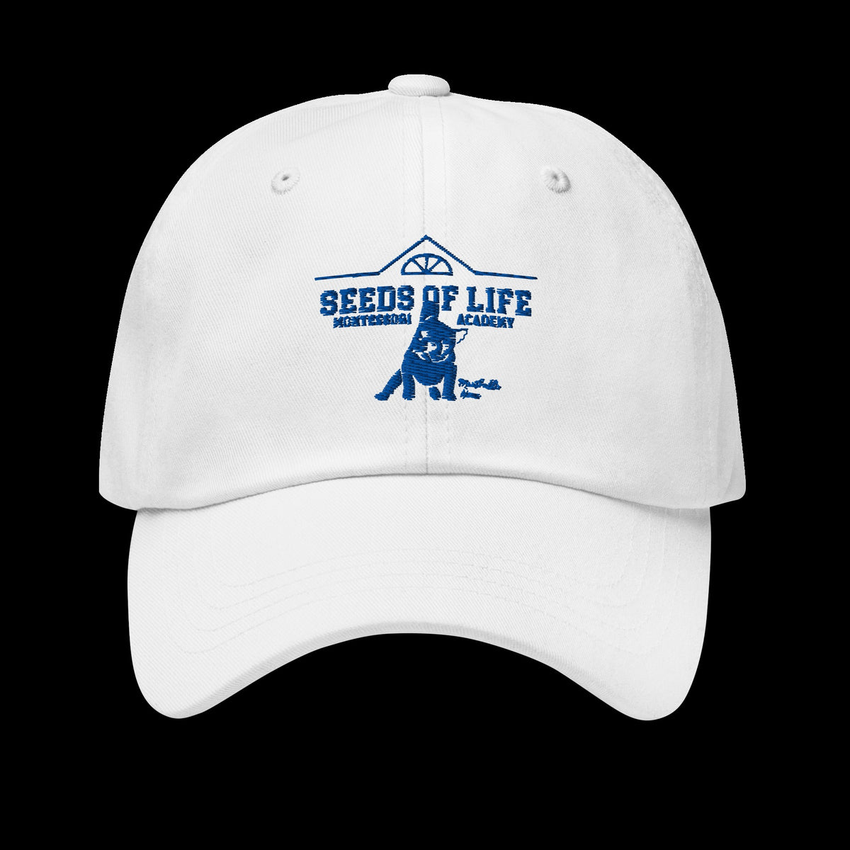 Meatball Spirit Dad Hat
