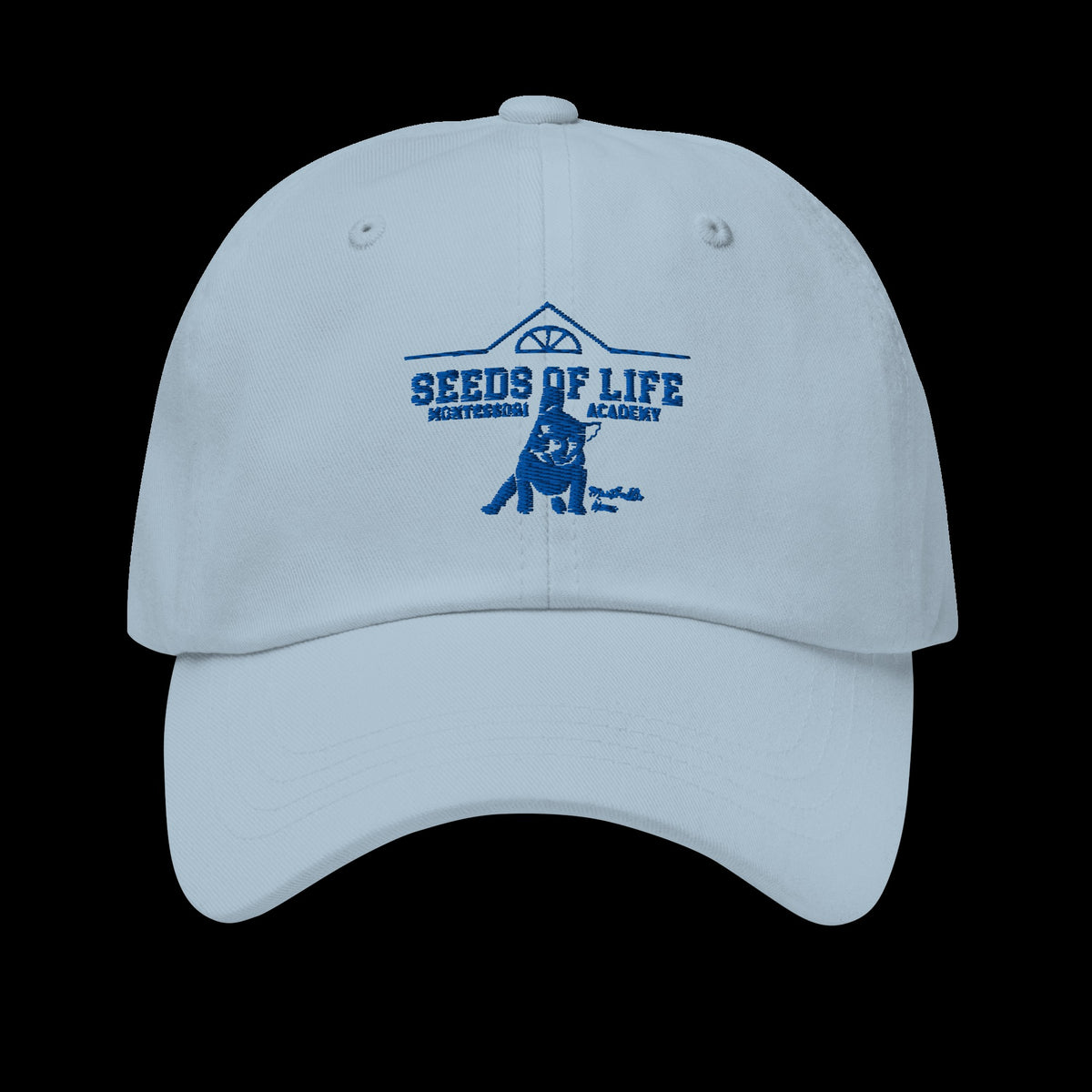 Meatball Spirit Dad Hat