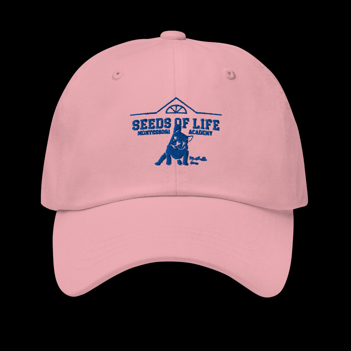 Meatball Spirit Dad Hat