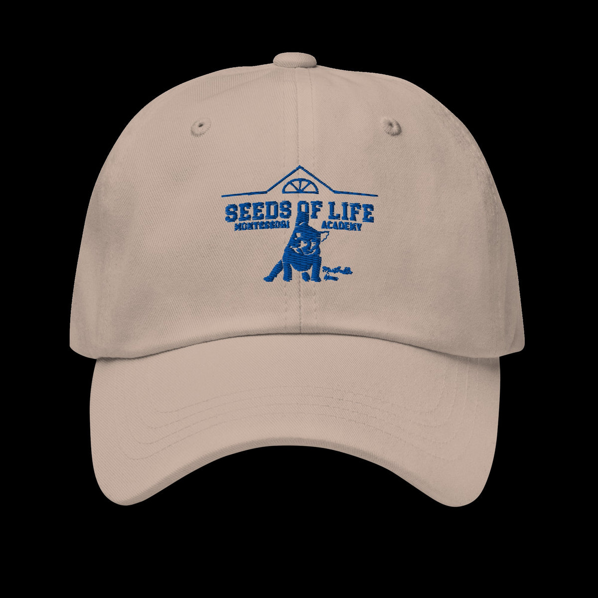 Meatball Spirit Dad Hat