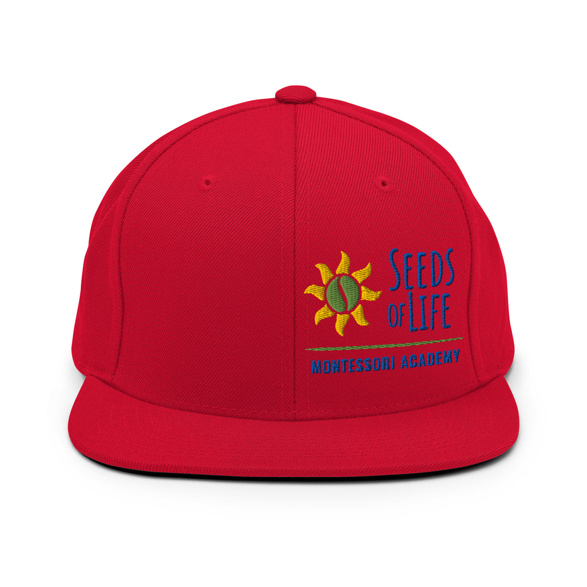 Mr. Jeff SnapBack Hat