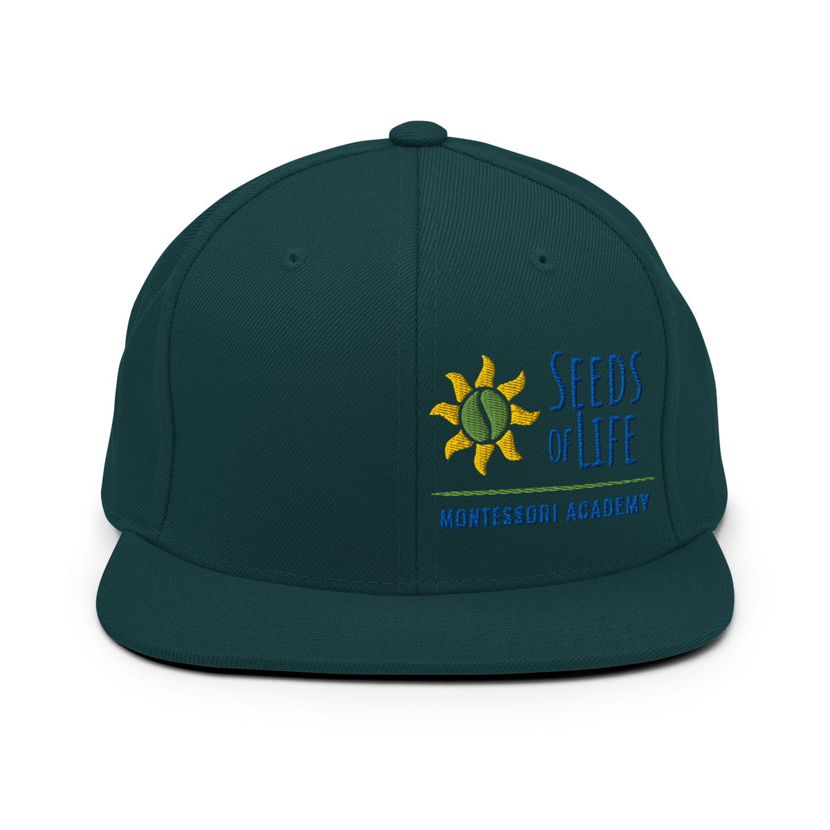 Mr. Jeff SnapBack Hat